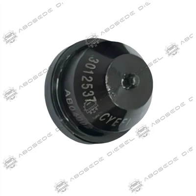 3012537 CYEFI Injector Nozzle – Piala Injektor OEM Untuk Sistem Diesel Common Rail & PT